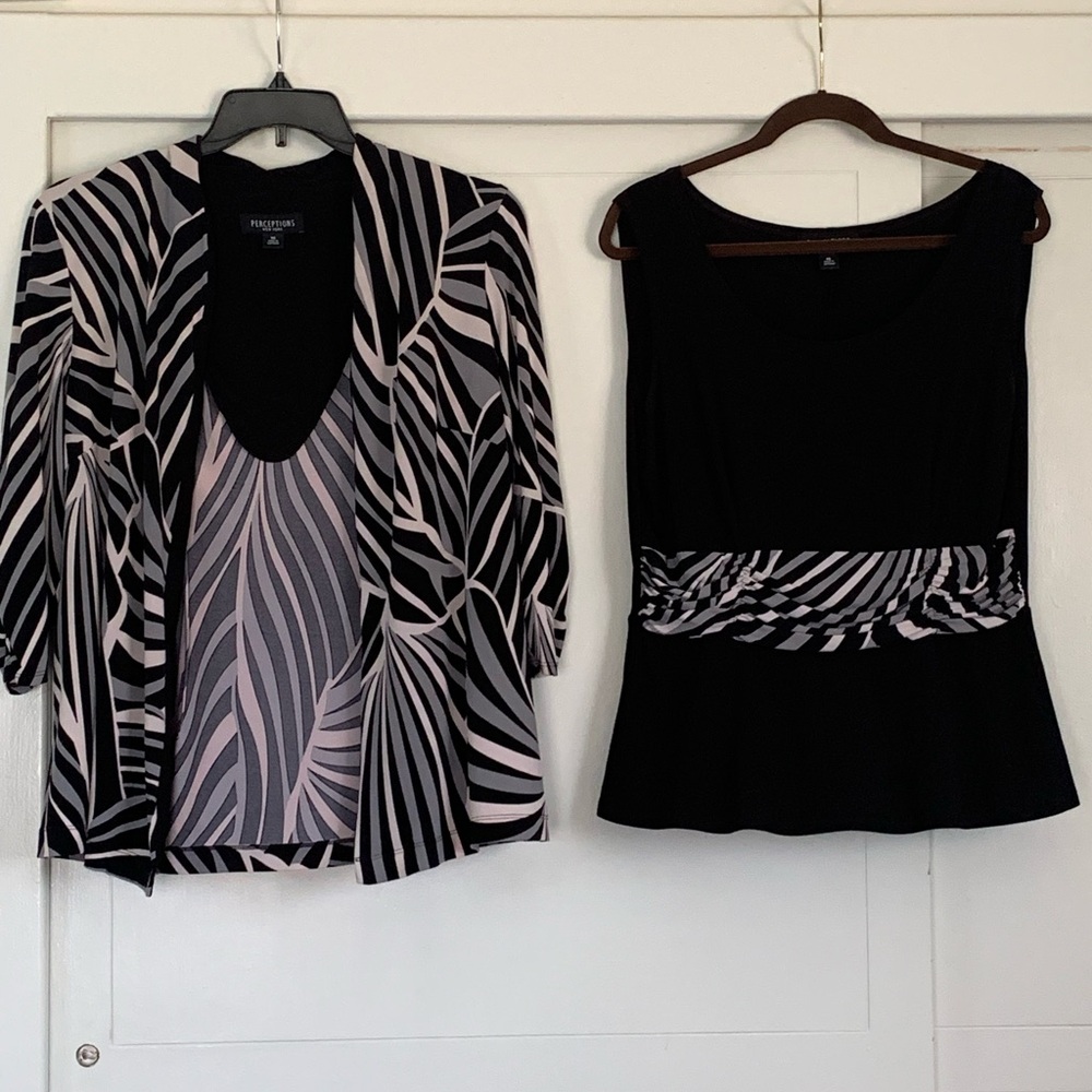 Perceptions Black and Pink Zebra Print Blouse Set